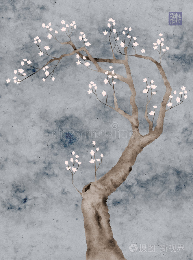 盛开的李子树插画-正版商用图片0h5owo-摄图新视界