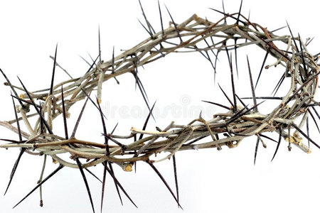 荆棘冠照片