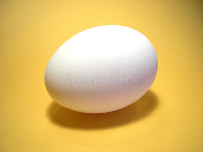 黄色背景的鸡蛋