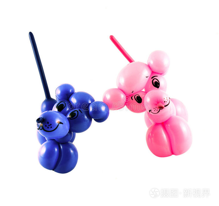 气球做成的小狗
