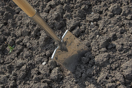 铲子挖土图片
