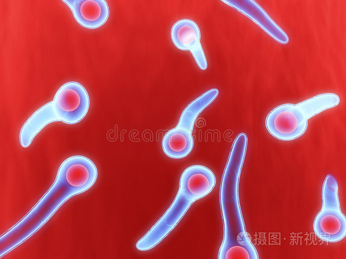 医生用显微镜和血液破伤风细菌细胞,细菌或病毒致命病毒[医]血细胞