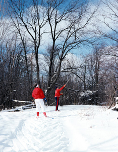 加拿大安大略省越野滑雪图片