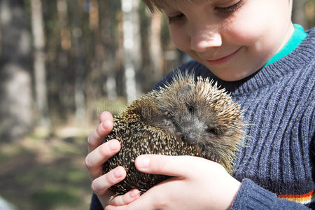 刺猬男孩照片