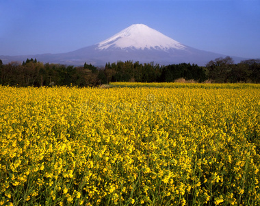 富士山二十六