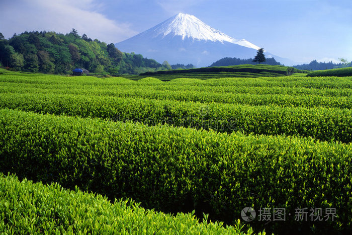 富士十八山