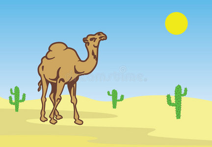 沙漠中仙人掌中的骆驼图片