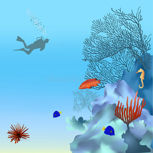 珊瑚礁2