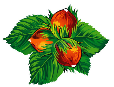 榛子详情页图片-榛子详情页素材-榛子详情页插画-摄图新视界