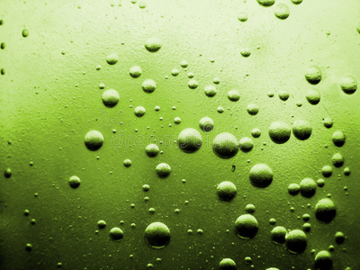 橄榄绿背景摄影图