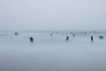 海滩波浪和树桩光滑的雾神秘