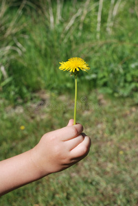 孩子的礼物