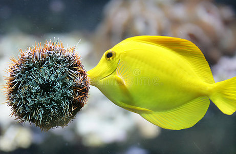 水族馆场景1