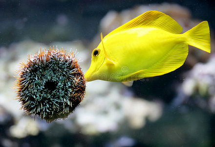 水族馆场景3