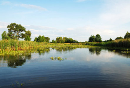 美丽的河景观美丽的河流景观照片