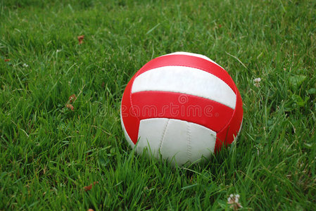 草地上的运动球