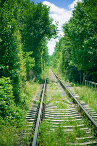 穿越森林的铁路
