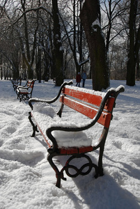 雪地里的红色长凳