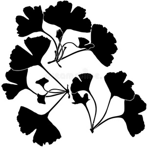 银杏叶剪影照片