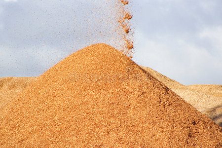 碎木屑木屑照片