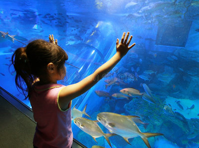 水族馆里的孩子