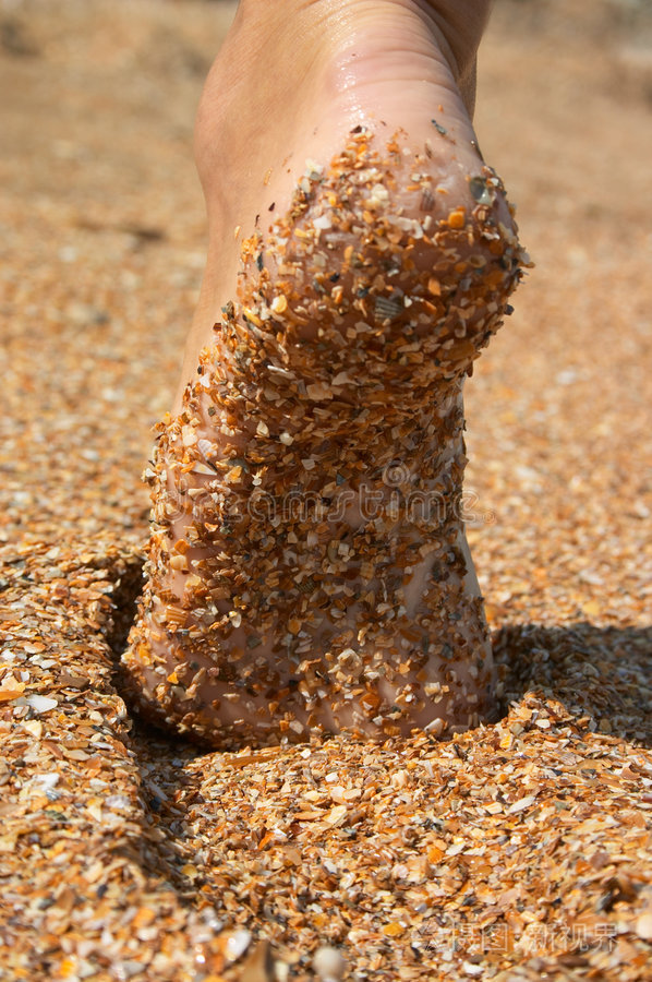 赤脚沙底