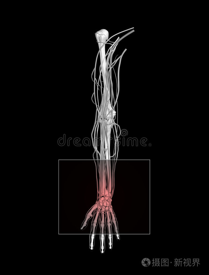 关节手部疼痛脚痛手腕痛肩痛脚痛腿部x光片人体手的x光片脚伤膝盖疼痛