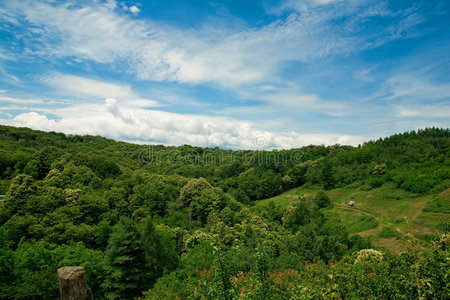 夏季景观