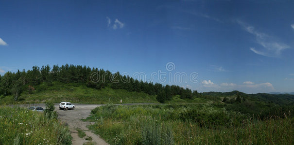 云和松树