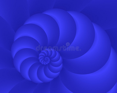 海洋鹦鹉螺