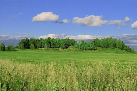 夏季景观