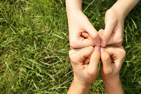 小熊猫四只蚊子在同一个谷仓和木栅栏农场四只小鸡四只手,拟合一起