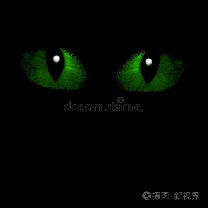 两只猫眼
