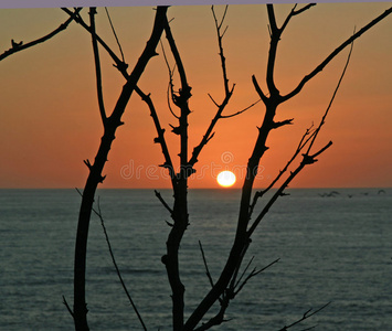 泰瑞尼亚海的日落