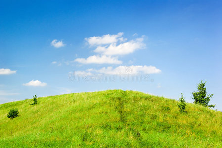 对比 草地 风景 小山 假期 美丽的 场景 假日 美女 幼树