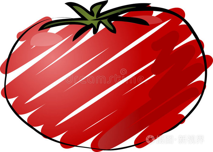 番茄素描