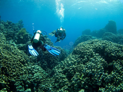 潜水员越过珊瑚礁
