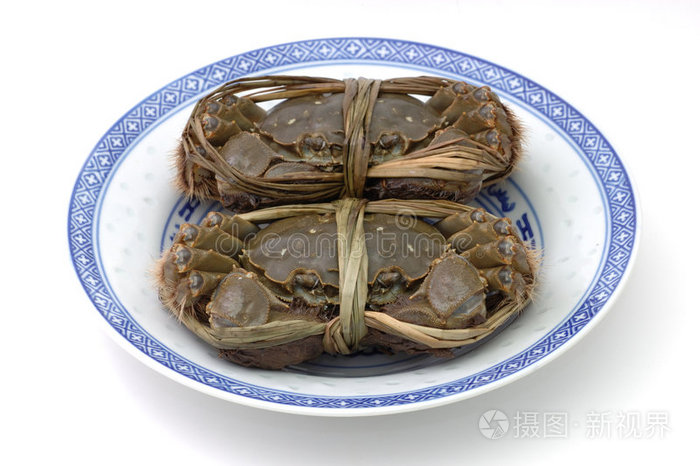 活上海蟹照片 正版商用图片0hdf1k 摄图新视界