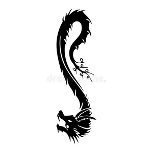 龙照片
