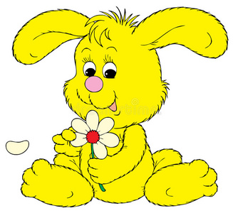 兔子(矢量剪贴画)照片