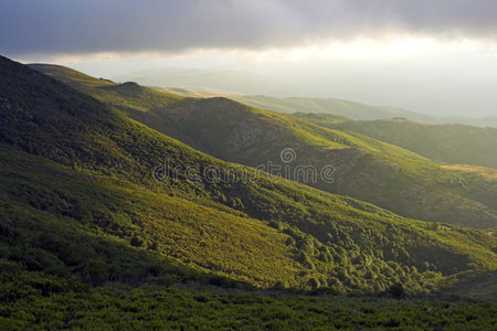 青山