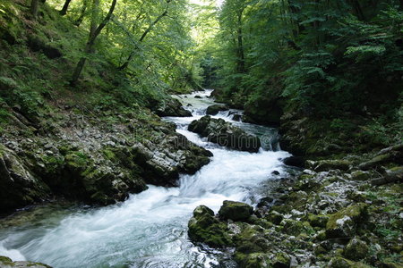 山河水下的岩石在河床上,有清澈的淡水. 河流栖息地. 水下景观. 山河.