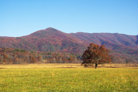 秋天五彩缤纷的山景