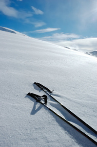 滑雪杆