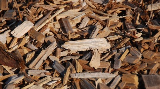 园林绿化材料图片