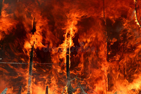 森林驿站图片-森林驿站素材-森林驿站插画-摄图新视界
