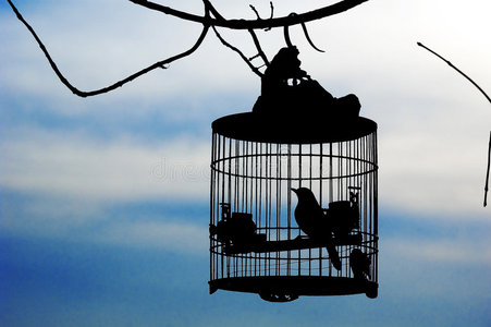 笼中小鸟渴望自由图片图片