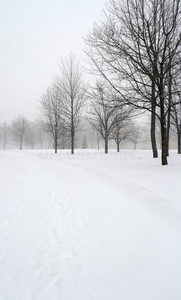 冬季公园里被雪覆盖的小巷