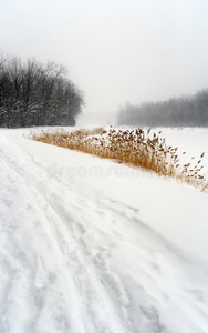 冬季雪景小径