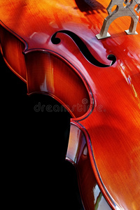 大提琴细节
